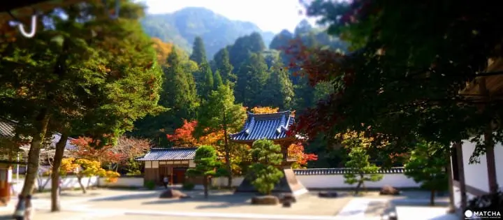 Stunning Autumn Colors In Hiroshima Prefecture You Do Not Want to Miss