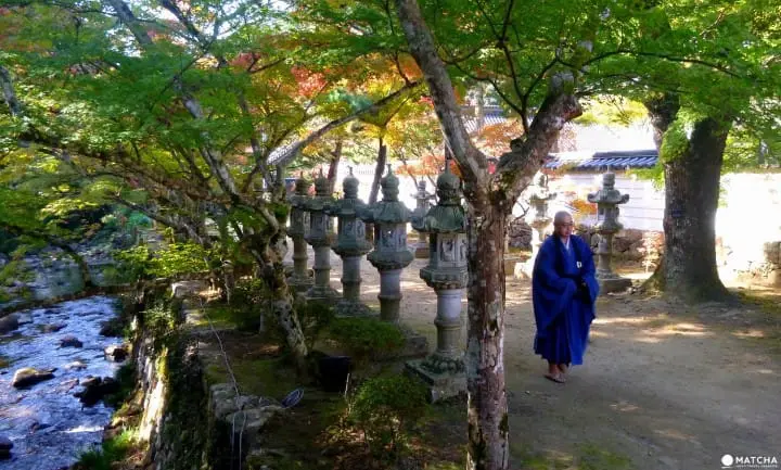 Stunning Autumn Colors In Hiroshima Prefecture You Do Not Want to Miss