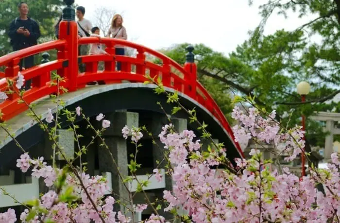 15 Cosas divertidas que hacer en Osaka