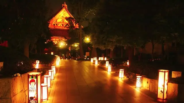 不只充滿力道的三社祭，淺草也有優雅的夜間祭典「燈籠祭」喔！