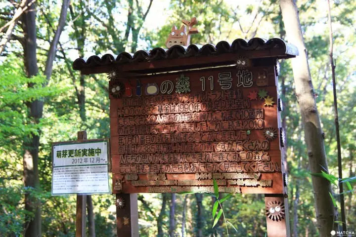 Stunning colors of autumn in Totoro Forest, Saitama