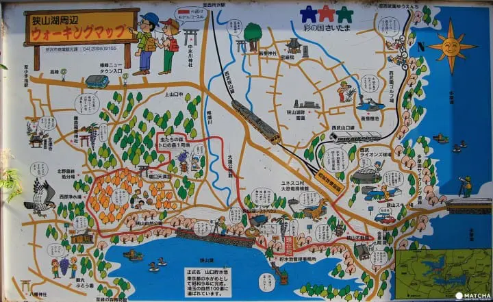 Stunning colors of autumn in Totoro Forest, Saitama