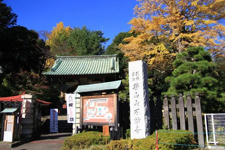 Stunning colors of autumn in Totoro Forest, Saitama