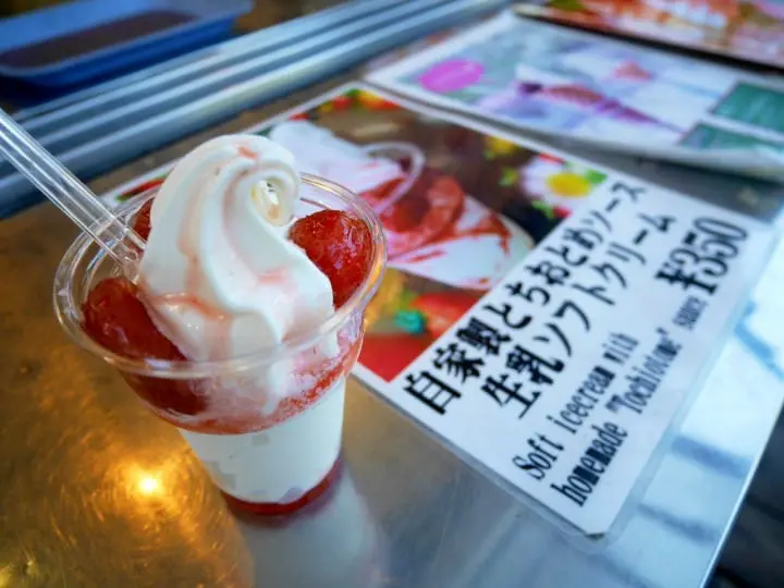 นิกโก้ไม่ได้มีแค่วัด! ชมธรรมชาติสวยงามและประวัติศาสตร์รอบทะเลสาบชูเซนจิกับน้ำตกเคะกง