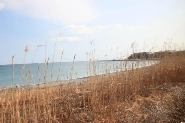 【青森】踏上东北美食列车 Tohoku Emotion