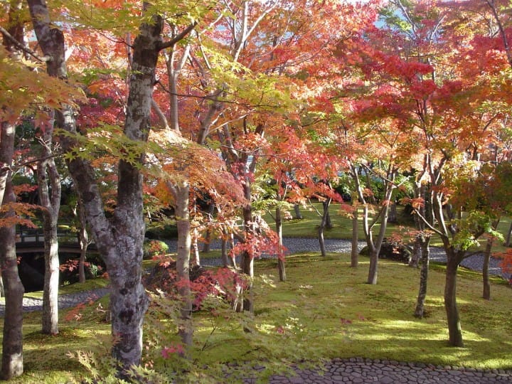 箱根美術館