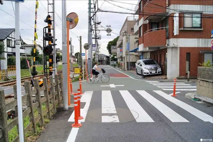 Also Recommended for the Young! Enjoy Seasonal Wagashi at the Modern Mahorodo Sogetsu