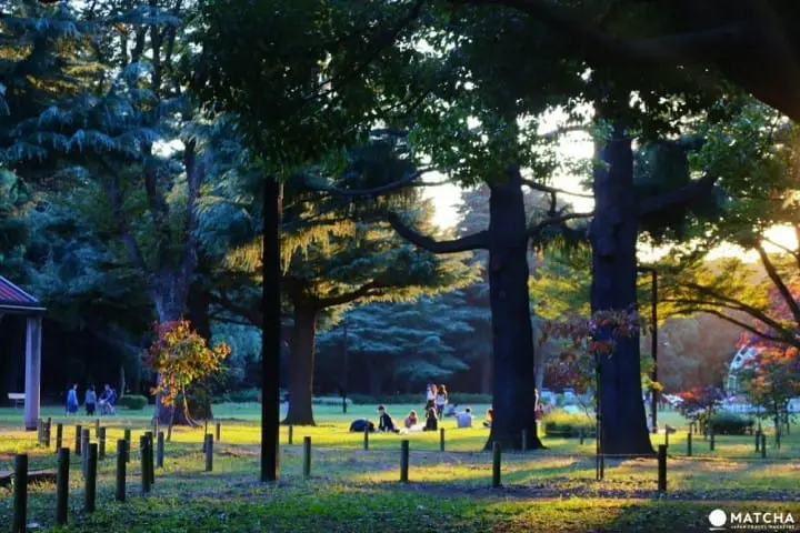 Free Japan - Enjoy Tokyo Without Spending Any Money!