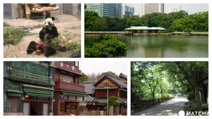 Free Japan - Enjoy Tokyo Without Spending Any Money!