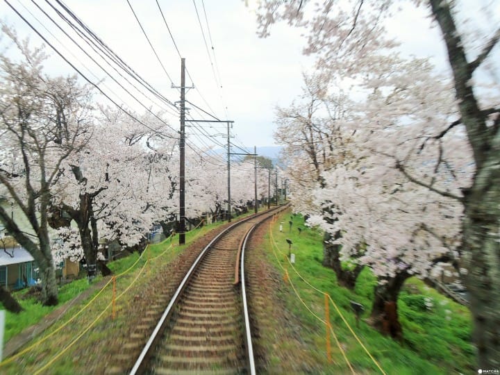 嵐電一日遊