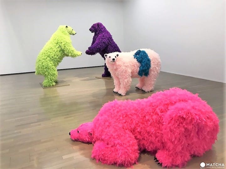 パオラ・ピヴィ