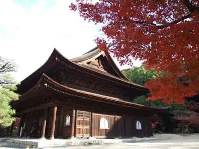 5 แหล่งชมใบไม้เปลี่ยนสีในฮิโรชิม่า 2025 (Hiroshima)