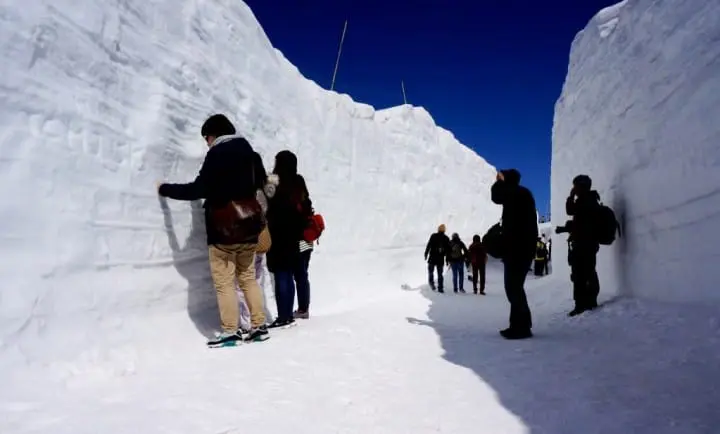 “阿尔卑斯、高山、松本地区周游券”在手，纵横长野富山岐阜超轻松！