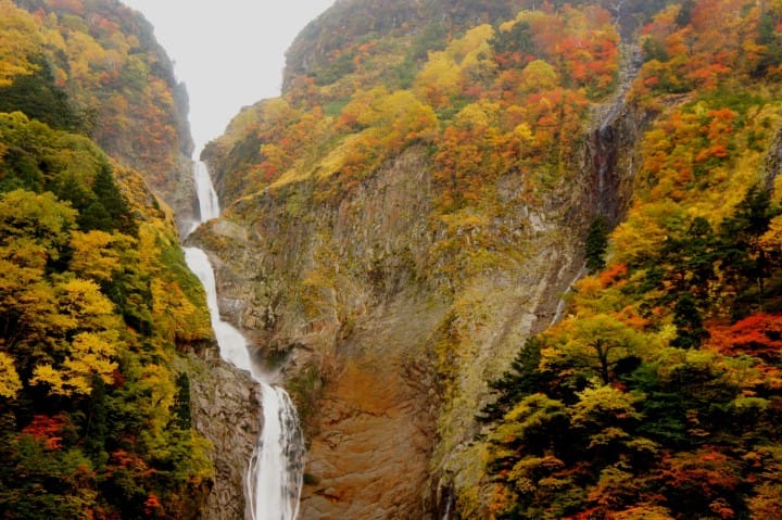 【中部北陆】名古屋岐阜富山石川福井纵走 交通票券景点旅游攻略(下集)