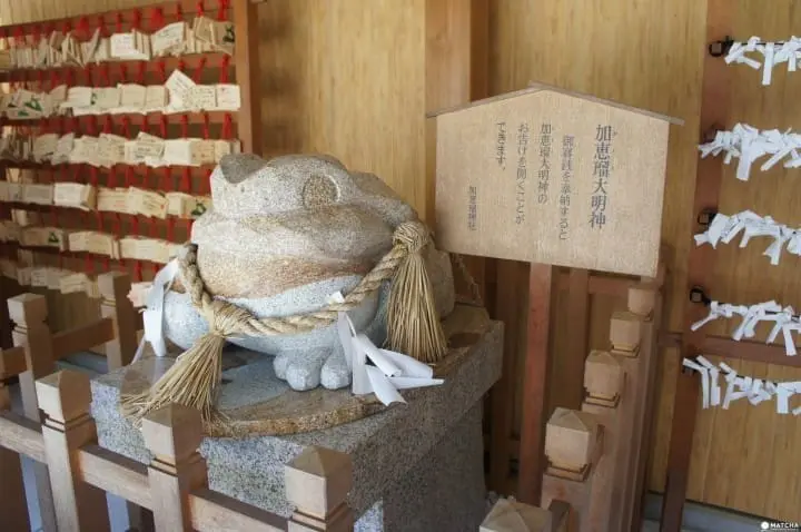 “阿尔卑斯、高山、松本地区周游券”在手，纵横长野富山岐阜超轻松！