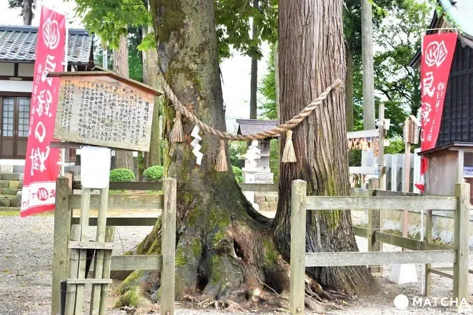 【福井大野】探訪名水奧越小京都