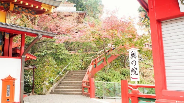 【佐賀縣】美到讓人忘記呼吸,祐德稻荷神社賞楓趣!