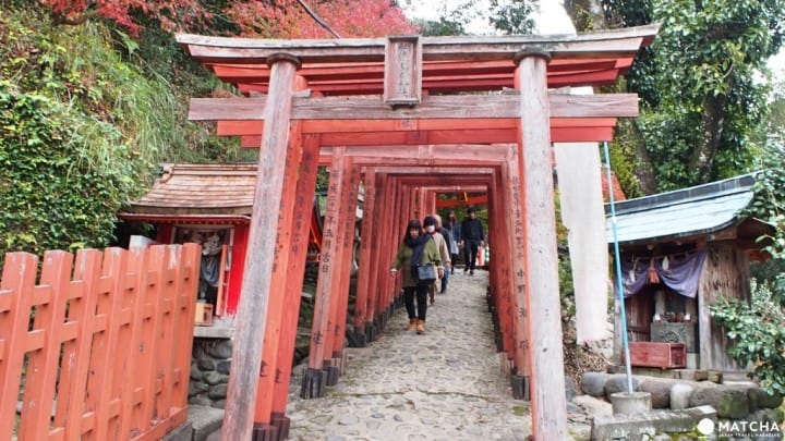 【佐賀縣】美到讓人忘記呼吸,祐德稻荷神社賞楓趣!