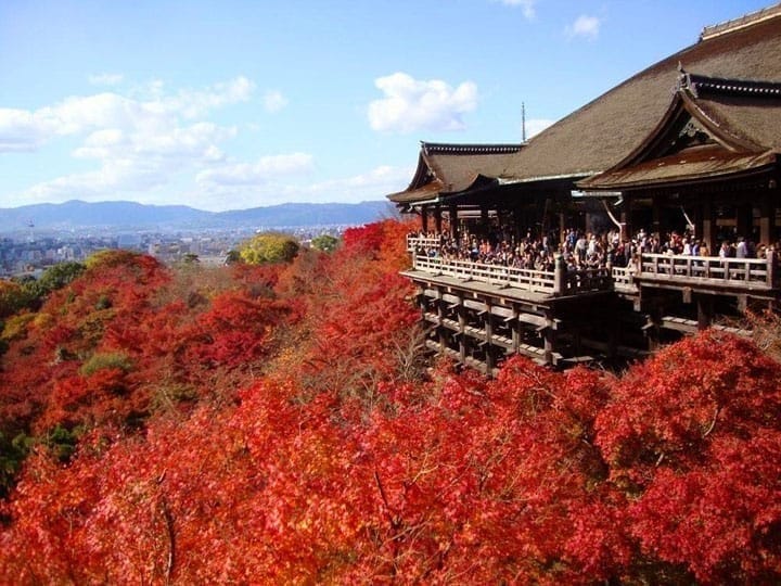 Japan's Autumn Leaves Calendar 2017: Seasonal Forecast And Best Spots!