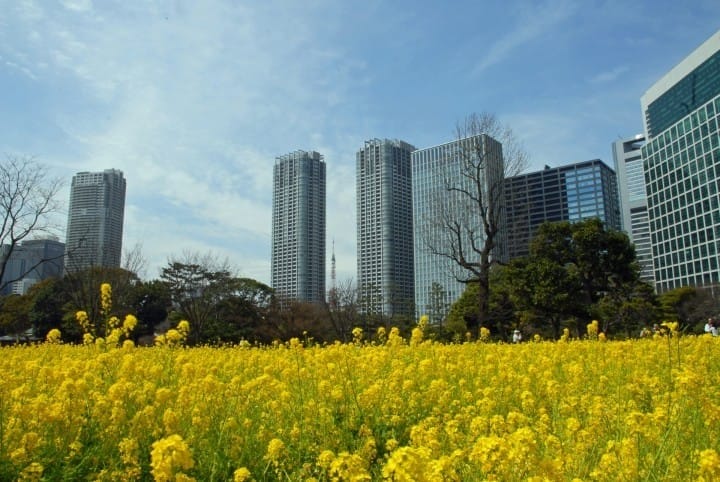 濱離恩賜公園