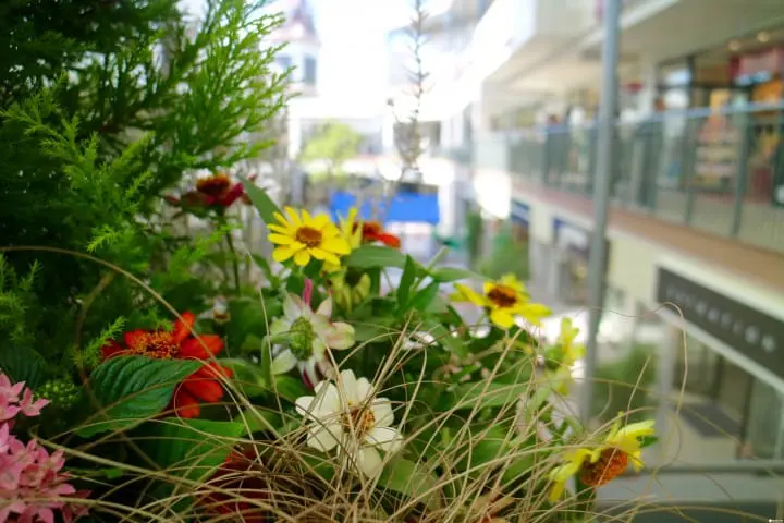 Shop With A Resort Feel At Mitsui Outlet Park Jazz Dream Nagashima!