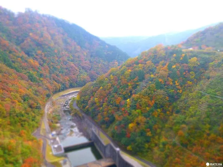 Hiroshima In Autumn - Stunning Fall Colors You Don't Want to Miss!