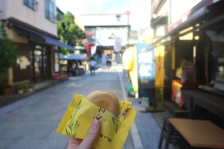 Get To Know Tokyo Better Than Anyone Else! Exploring Tokyo With Toei One-Day Pass