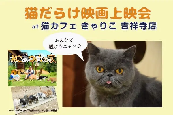 来吉祥寺“收集猫咪”吧！2017吉祥寺猫咪祭典呼噜呼噜登场！