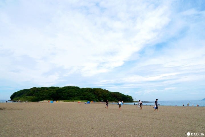 冲之岛