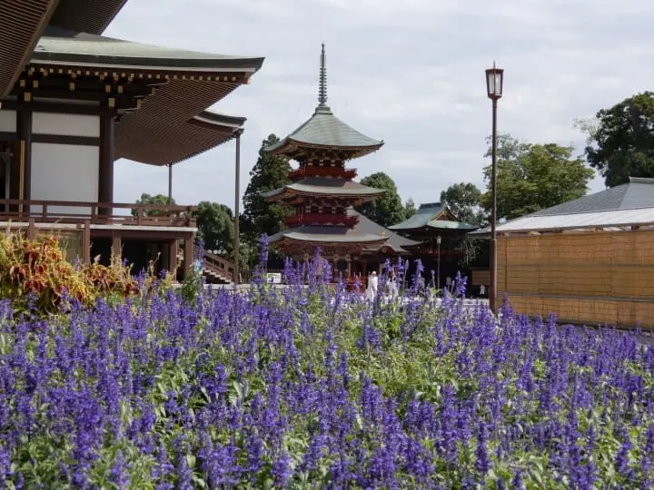 Enjoy a delightful day trip to Narita’s Shinshoji Temple, stroll an old temple lane and taste the local specialty eel. 