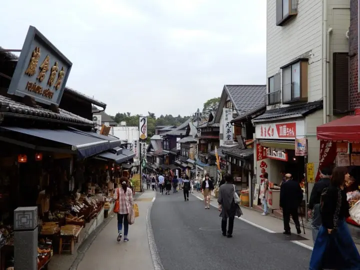 Enjoy a delightful day trip to Narita’s Shinshoji Temple, stroll an old temple lane and taste the local specialty eel. 