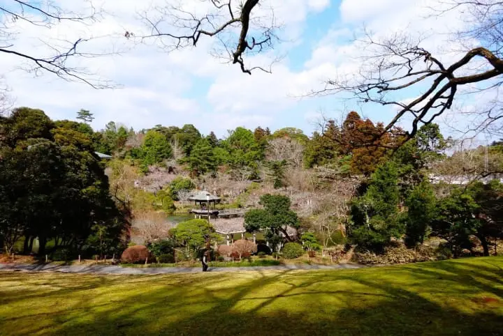 Enjoy a delightful day trip to Narita’s Shinshoji Temple, stroll an old temple lane and taste the local specialty eel. 