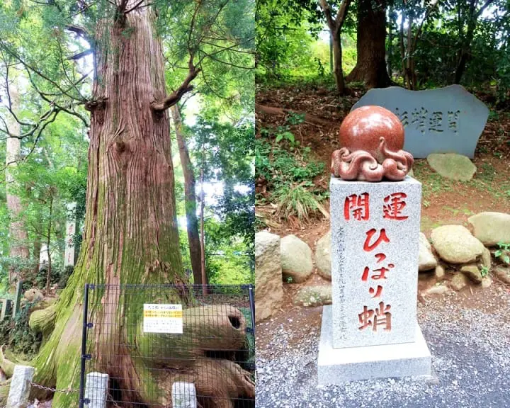 "ภูเขาทาคาโอะ"พักจากแสงไฟในเมืองไปสู่ขุนเขาอันแสนสงบชานกรุงโตเกียว