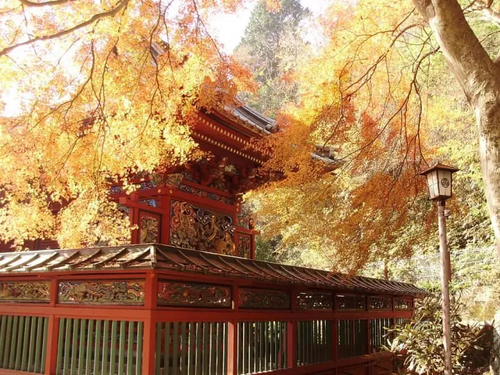 "ภูเขาทาคาโอะ"พักจากแสงไฟในเมืองไปสู่ขุนเขาอันแสนสงบชานกรุงโตเกียว