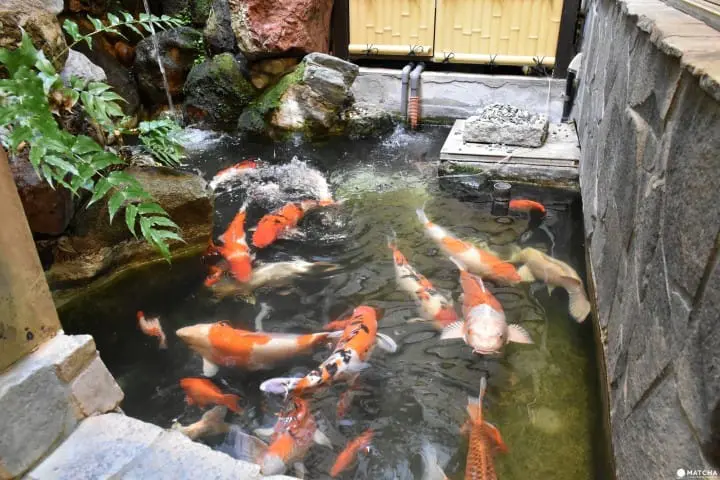 スカイツリー、浅草寺から歩いていける！浅草周辺のオススメ銭湯3選