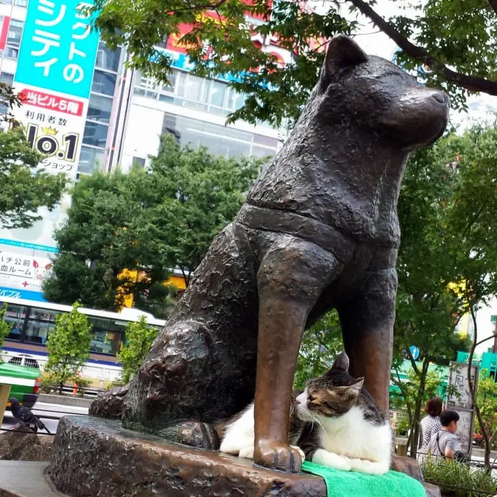 จากความเคลื่อนไหวสู่ความสงบนิ่ง : จากกรุงโตเกียวสู่เมืองอิวาเตะ !