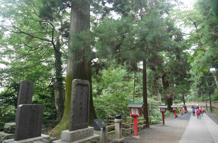 東京一路向西行!「高尾山」登高之旅