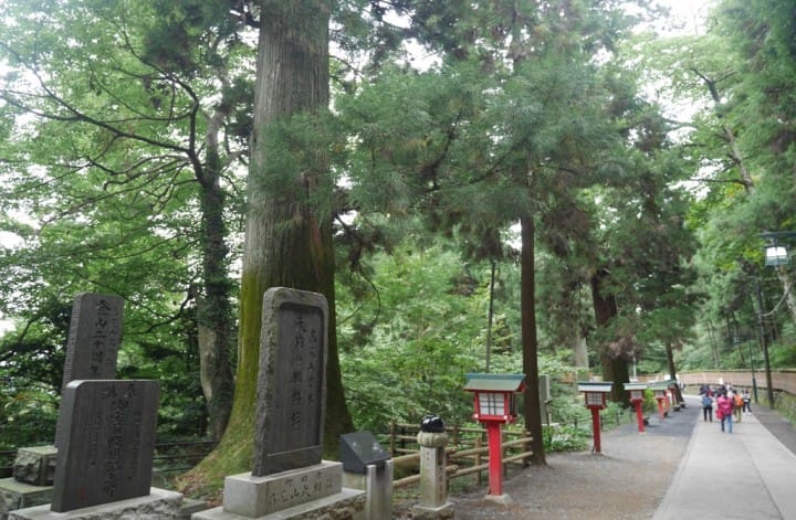 東京一路向西行！「高尾山」登高之旅