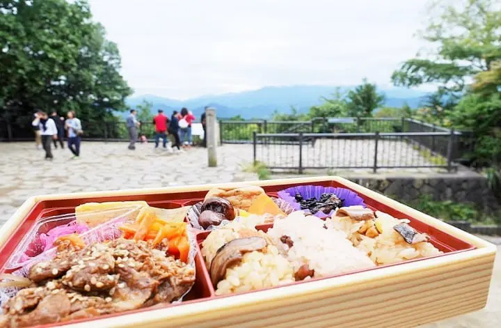 東京一路向西行!「高尾山」登高之旅