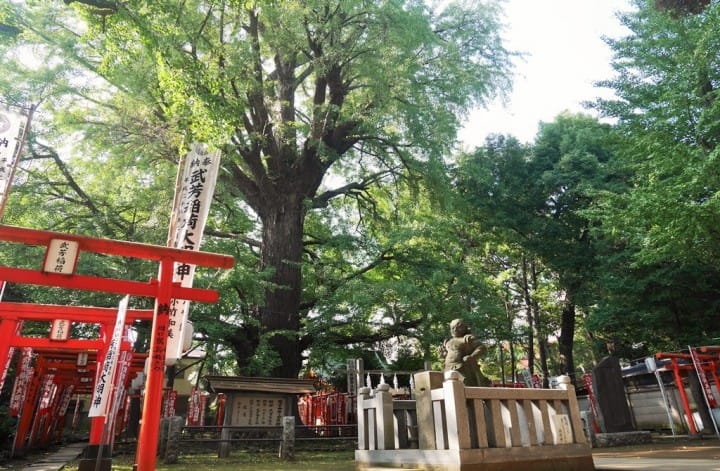 與叮叮作響的路面電車荒川線,進入東京下町老時光