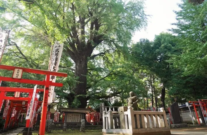 與叮叮作響的路面電車荒川線，進入東京下町老時光