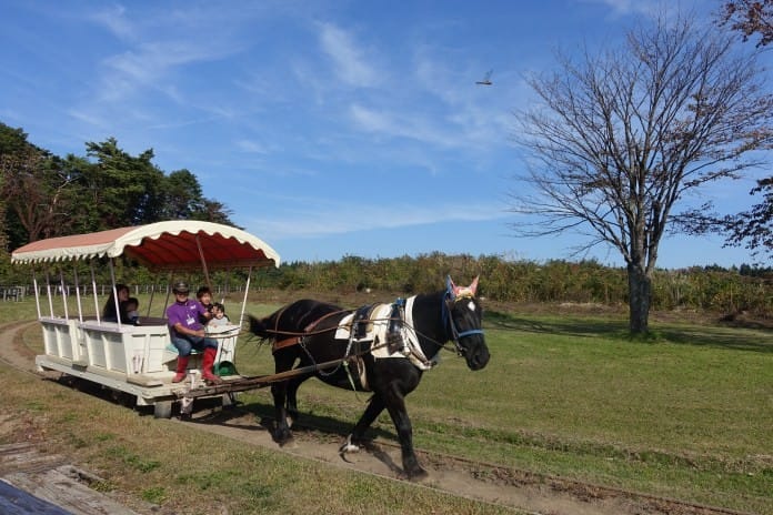 东北三县 秋日充电の旅 (四) / 青森、岩手、秋田