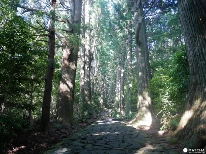 【和歌山】掌握前世今生的世界遗产，“熊野古道”与“熊野三山”