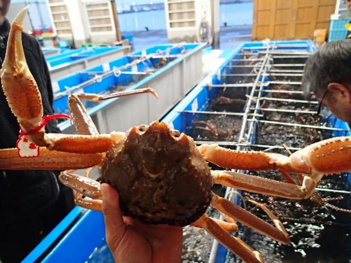 カニフェスタ