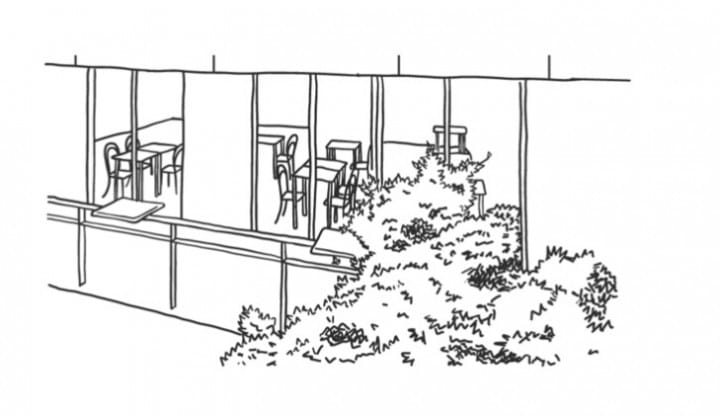 Blue Bottle蓝瓶咖啡日本旧屋改造店！三轩茶屋新店开张！