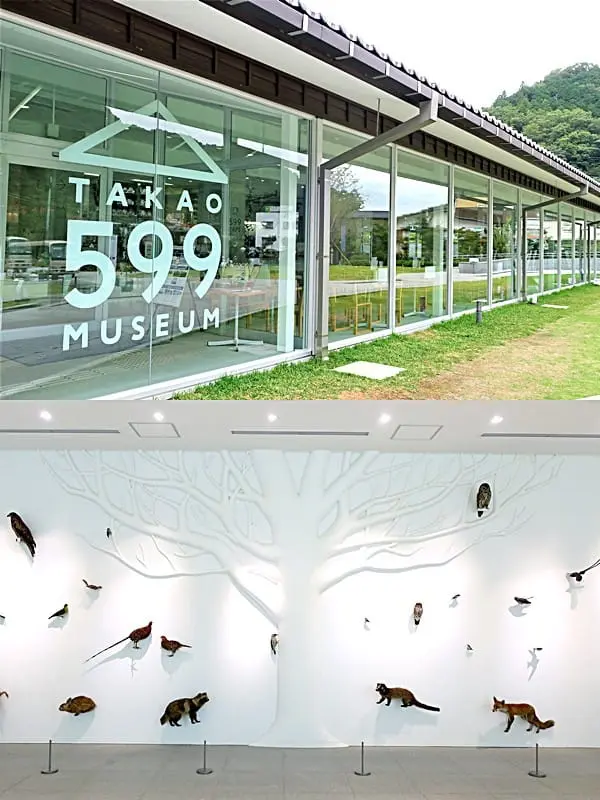 "ภูเขาทาคาโอะ"พักจากแสงไฟในเมืองไปสู่ขุนเขาอันแสนสงบชานกรุงโตเกียว