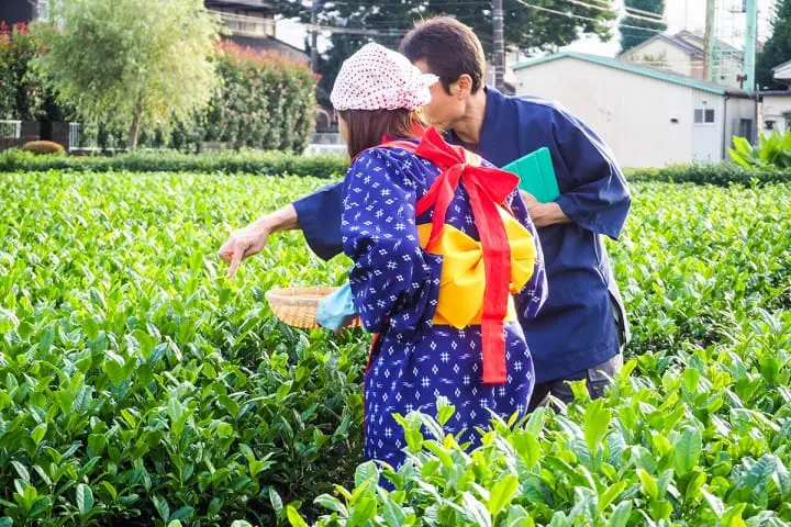 西武一日券走透透 宮野園