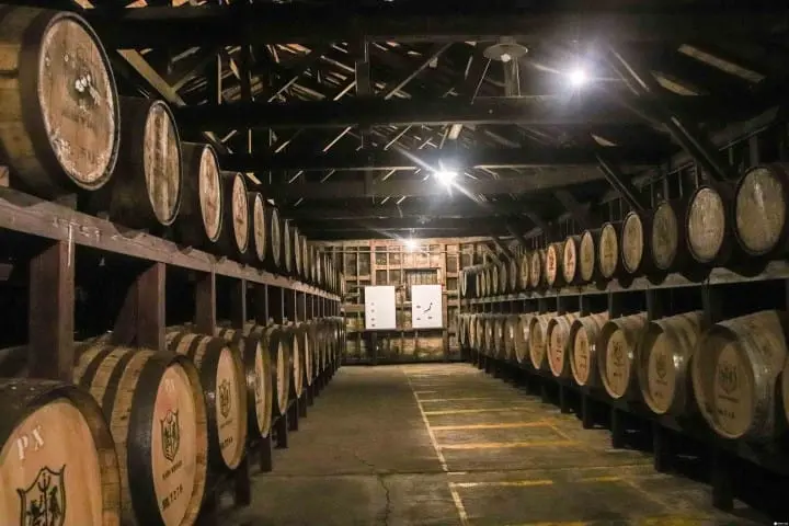 【鹿兒島】南薩摩、枕崎市海陸名物 鰹魚節、燒酒、威士忌