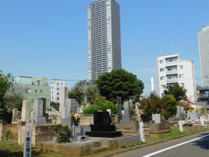 Beautiful Fall Roses - See Retro Tokyo On The Arakawa Line!