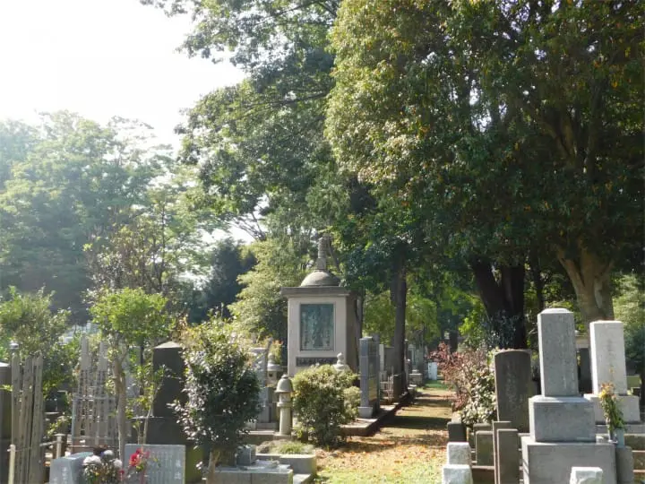 Beautiful Fall Roses - See Retro Tokyo On The Arakawa Line!